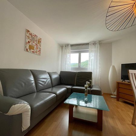 Le Brin D'Osier Apartment Kaysersberg-Vignoble Ngoại thất bức ảnh
