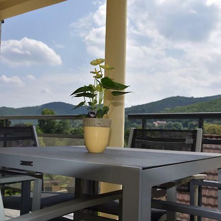 Le Brin D'Osier Apartment Kaysersberg-Vignoble Ngoại thất bức ảnh