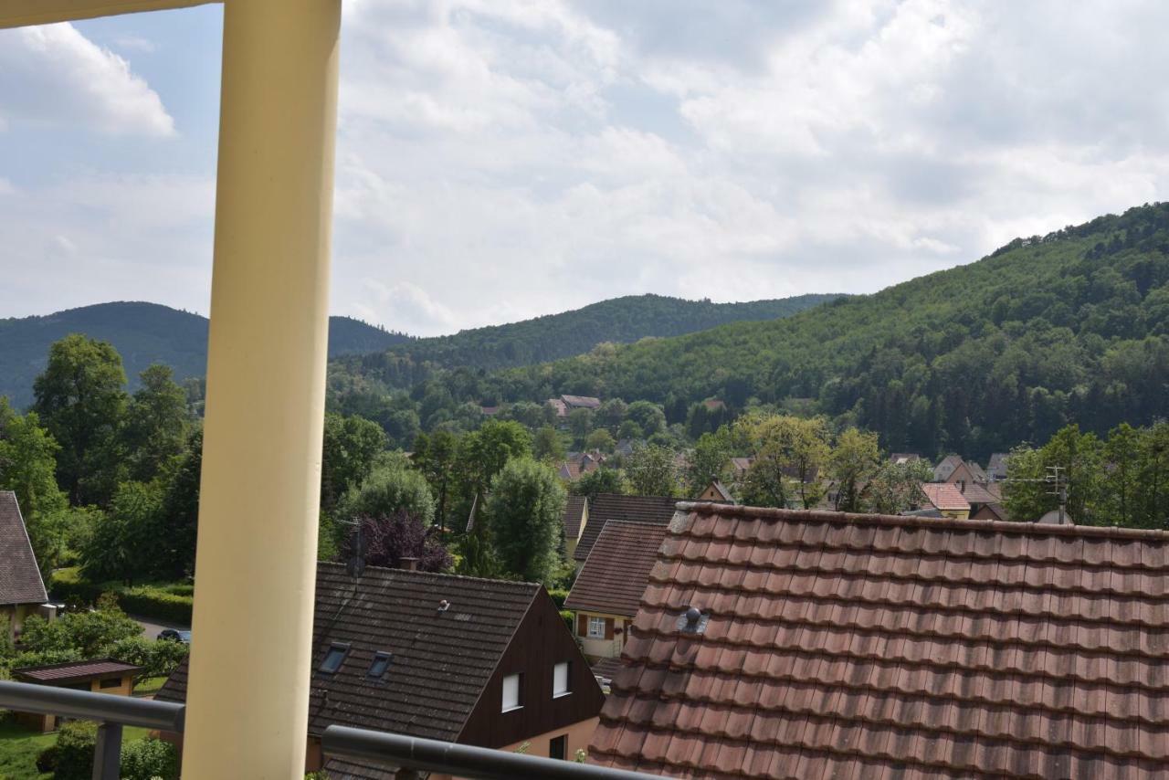 Le Brin D'Osier Apartment Kaysersberg-Vignoble Ngoại thất bức ảnh