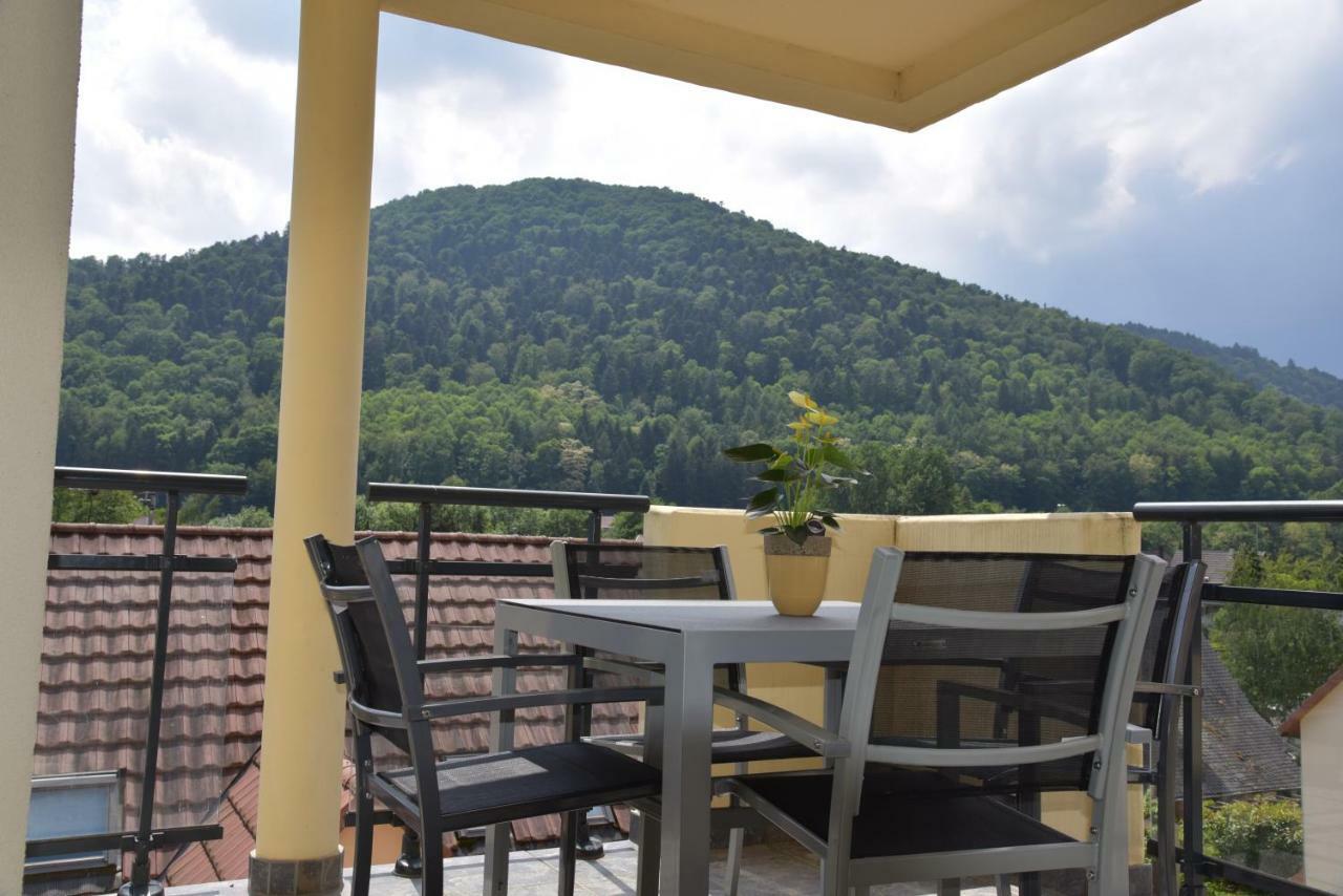 Le Brin D'Osier Apartment Kaysersberg-Vignoble Ngoại thất bức ảnh