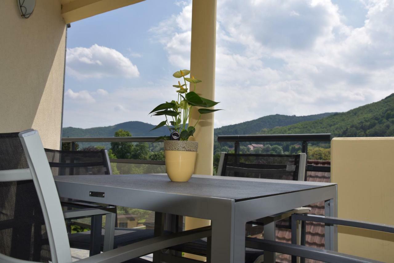 Le Brin D'Osier Apartment Kaysersberg-Vignoble Ngoại thất bức ảnh